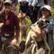 Curso de bienestar animal